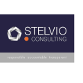 Tijs Kolsters - EAM Consultant - Stelvio Business Consulting